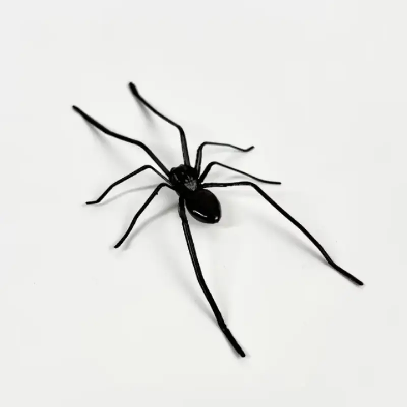 Spider Fridge Magnet, Fun Spider Design Decoration, Removable Magnetic Decals for Refrigerator, Garage Door, or Car, Indoor/outdoor Use