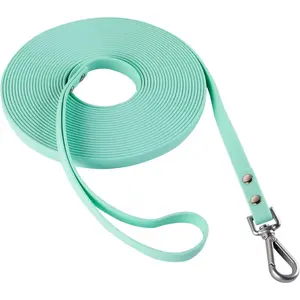 Waterproof Heavy Duty Long Dog Training Leash 10FT Mint Green Outdoor Recall Lead for Small Medium Large Dogs Multiple Lengths Optional