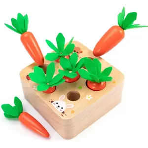 Montessori Toys Baby Easter Toys for Toddlers 1-3 Years Old, Educational Wooden Carrot Toys Shape Size Sorting Matching Puzzle, Great Baby Easter Gifts Birthday Gift Toy