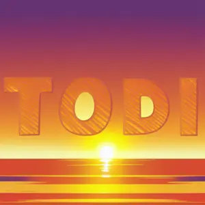 TODI US shop logo