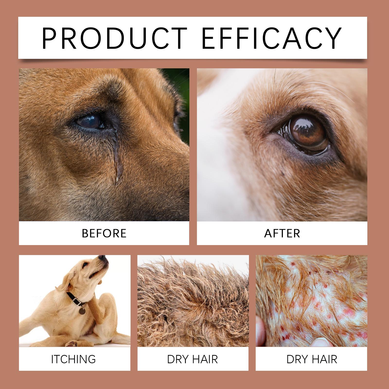 Yegbong Shampoo For Dogs Gentle Cleansing Shampoo For Dog Hair Moist, Smooth And Tangle-Free