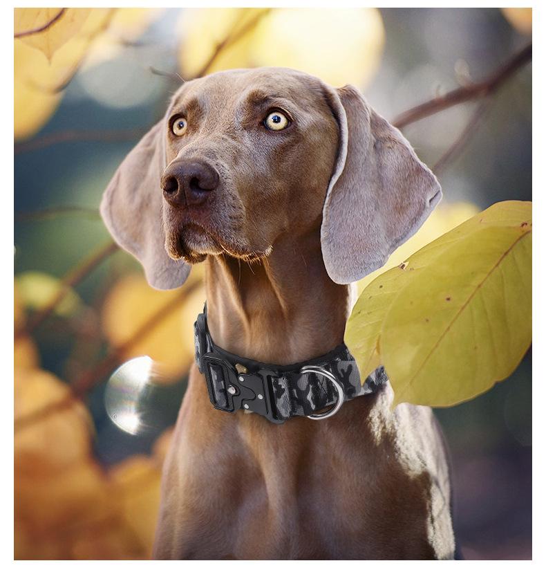 Premium Heavy-Duty Nylon Dog Collar - Extra Wide, Padded, with Stainless Steel Buckle Adjustable Pet Collar, Durable Dog Collar for Medium Large Dogs Cats for Outings, Dog Supplies, Pets Supplies, Christmas Gift