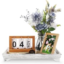 2 Tiered Stand With Metal Handle - Farmhouse Wooden Rustic Square Serving Tray for Home Kitchen Decor, Coffee Table (Distressed White)