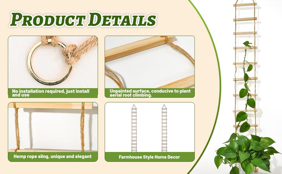 Chain Trellis for Climbing Plants Indoor – Natural Wood Ladder Style Plant for Vines, for Pothos & Ivy, Stylish for Home & Use, Indoor/