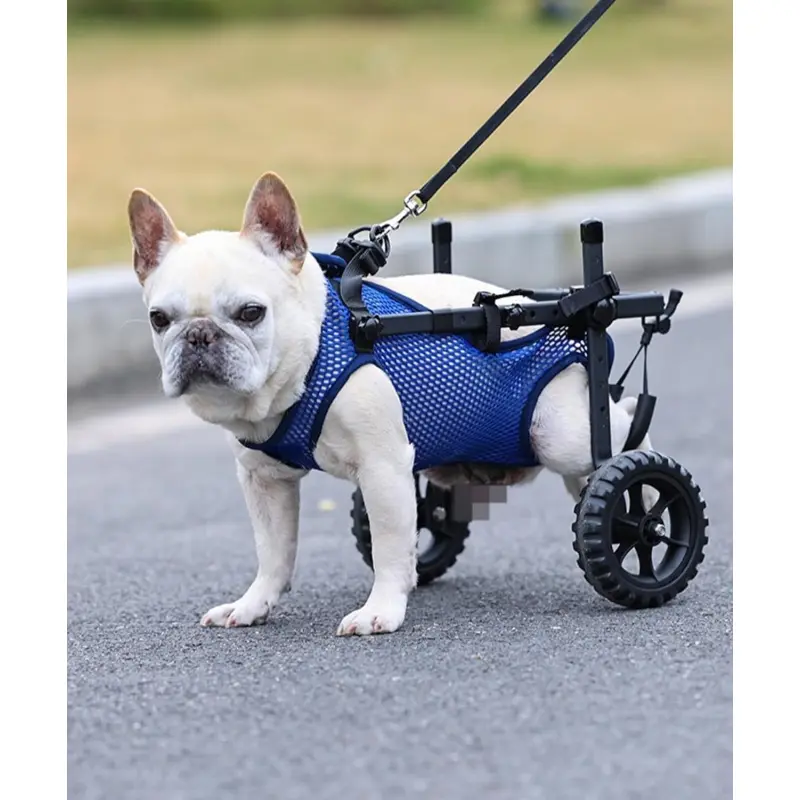 Adjustable Small Dog Wheelchair for Back Legs, Upgraded 5.5in Textured Wheel, Disabled Pets, Leg Brace, Mobility Aid, Hind Limb Rehabilitation, Older, Disabled (XS (Chest 12.6-16.1in))