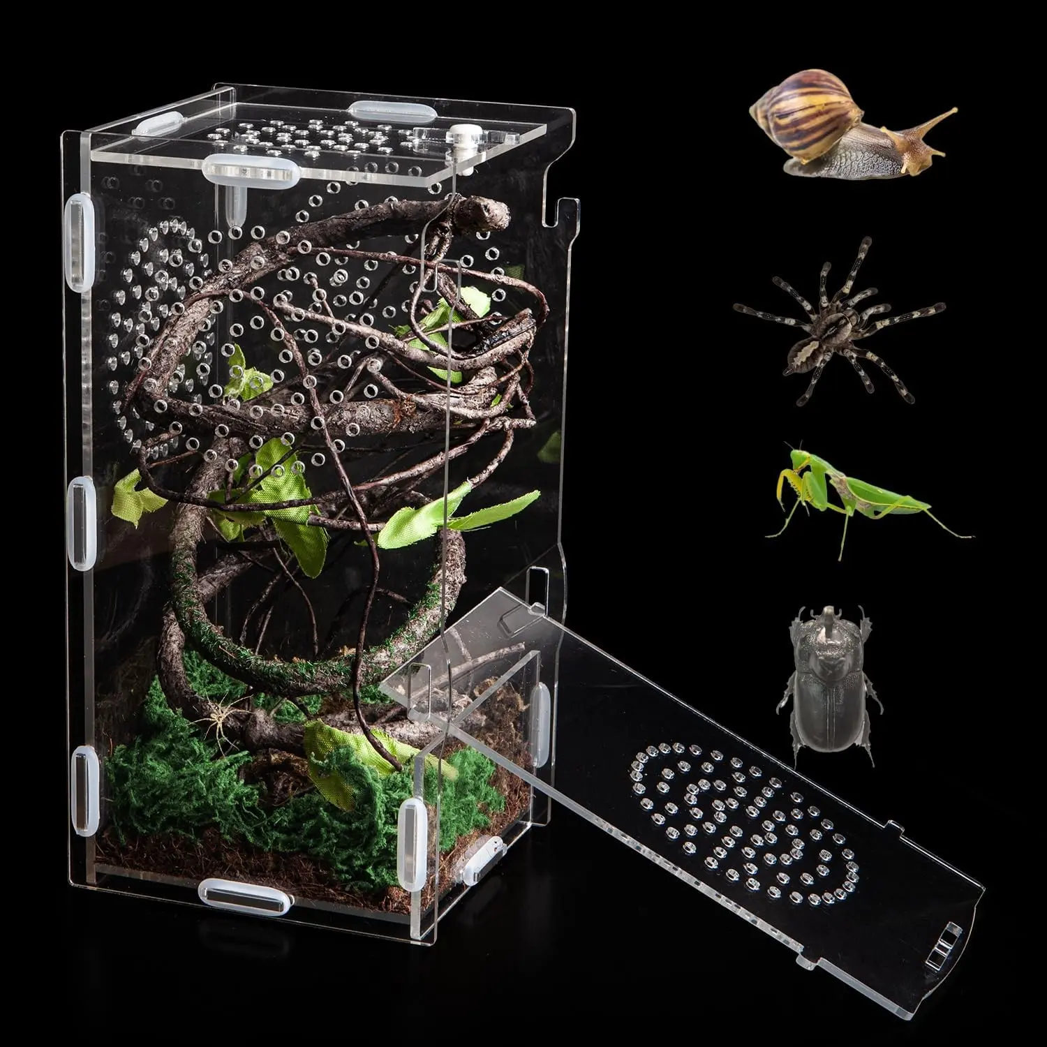 Acrylic Jumping Spider Enclosure 8"*4"*4" Insect Terrarium, Small Reptile Cage with Secure Lock for Praying Mantis, Arboreal Tarantula, Snails, Bug, Lizard