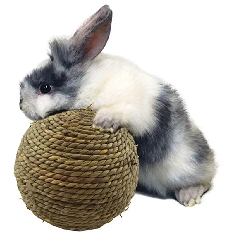 Natural Grass Braided Chew Ball for Small Animals, 6/10cm Interactive Play Toy for Guinea Pigs, Rabbits, Hamsters