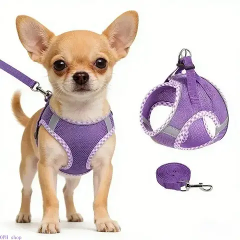 2-Pack Reflective Step-In No-Pull Dog Harness & Leash Set, Soft Breathable Mesh Adjustable Lightweight Puppy Vest Strap, Safe Outdoor Walking Pet Gear for Small-Medium-Large Dogs, Foldable, Black, Heavy-Duty Snap Hook, Eliminates Neck Restraints, S, Non-C