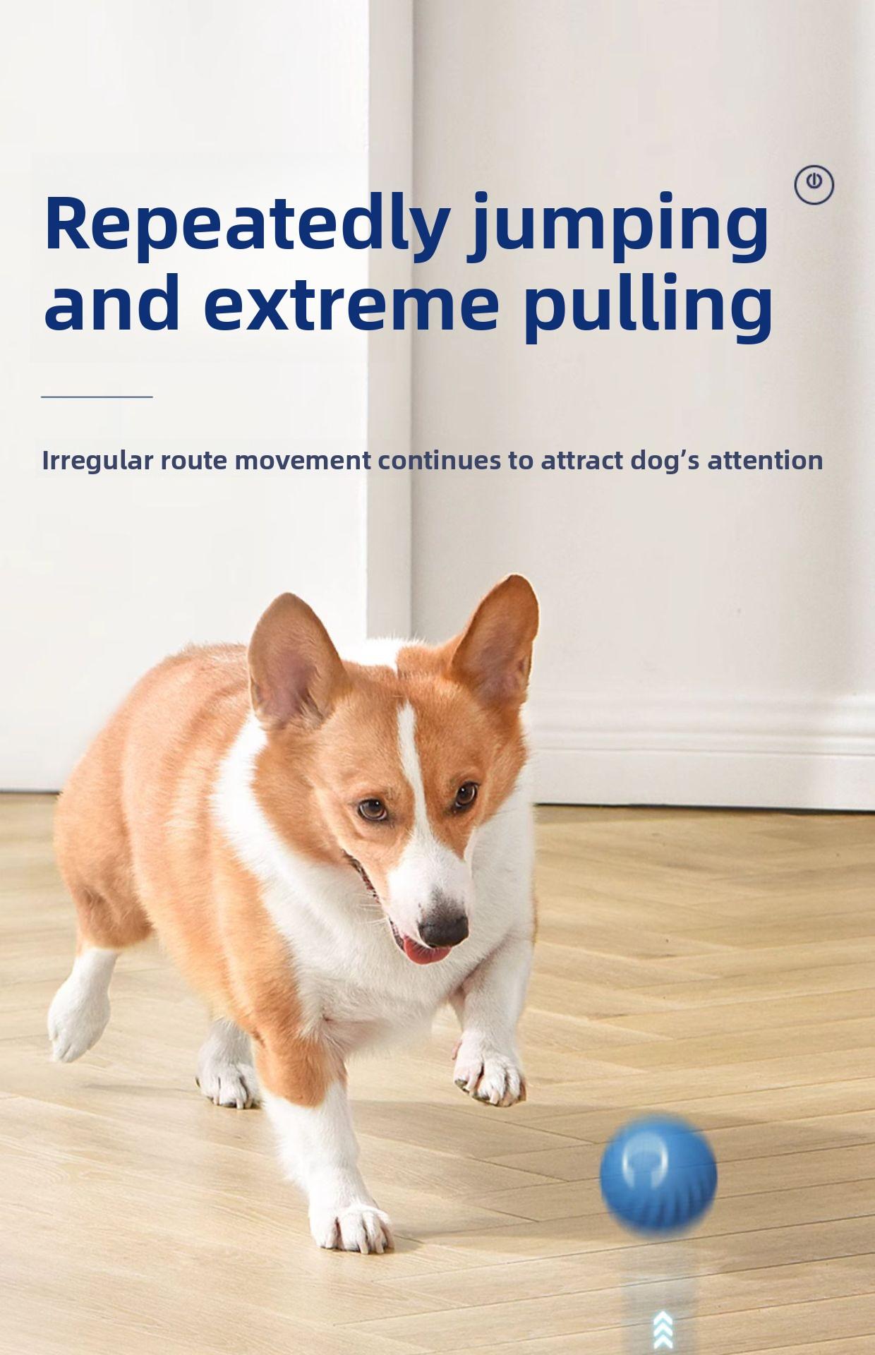 Gravity Jumping Ball Smart Rechargeable Pet Toy Automatic Rolling Interactive Chase Ball for Dogs Cats Livestock Prod with Flexible Shaft pet stuff dog pepper spray dog bugs detector reverse slow feeder shaped harness raised food bowl surprise gift k9