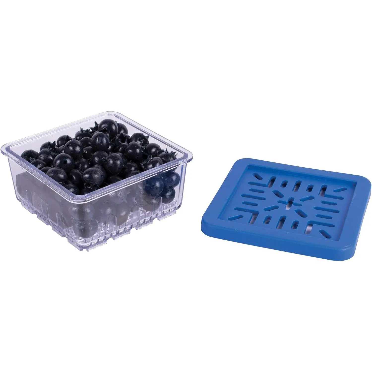 BerryFresh Half Pint Produce Box, Blue