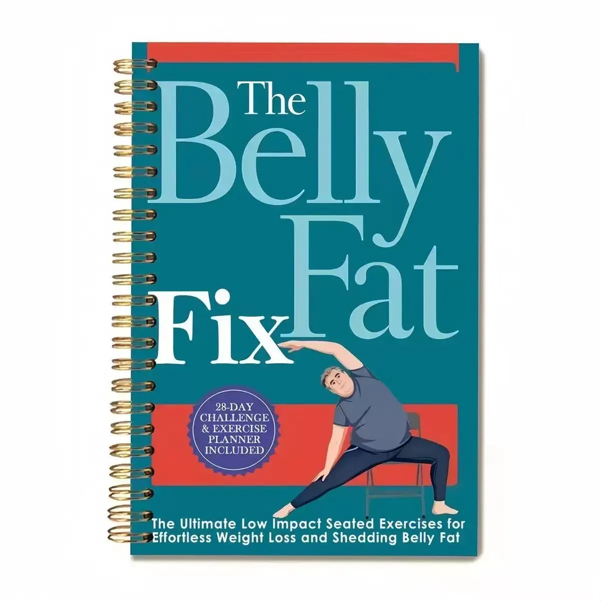 Low Impact Sitting Workout Program, Fat Loss Solution, Belly Fat Reduction, Easy Weight Management, Comprehensive Fitness Plan, Healthy