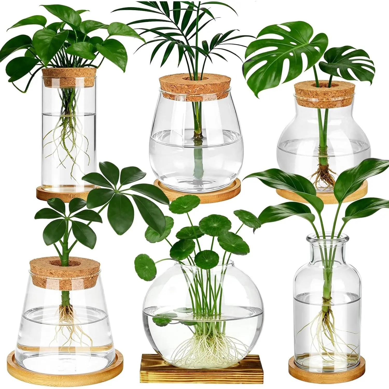 6-Piece Hydroponic Plant Propagation Station Set - Small Glass Planters with Wooden Lids, Bamboo Stands, Desktop Vases for Plant Growing, Home Office Tabletop Decor