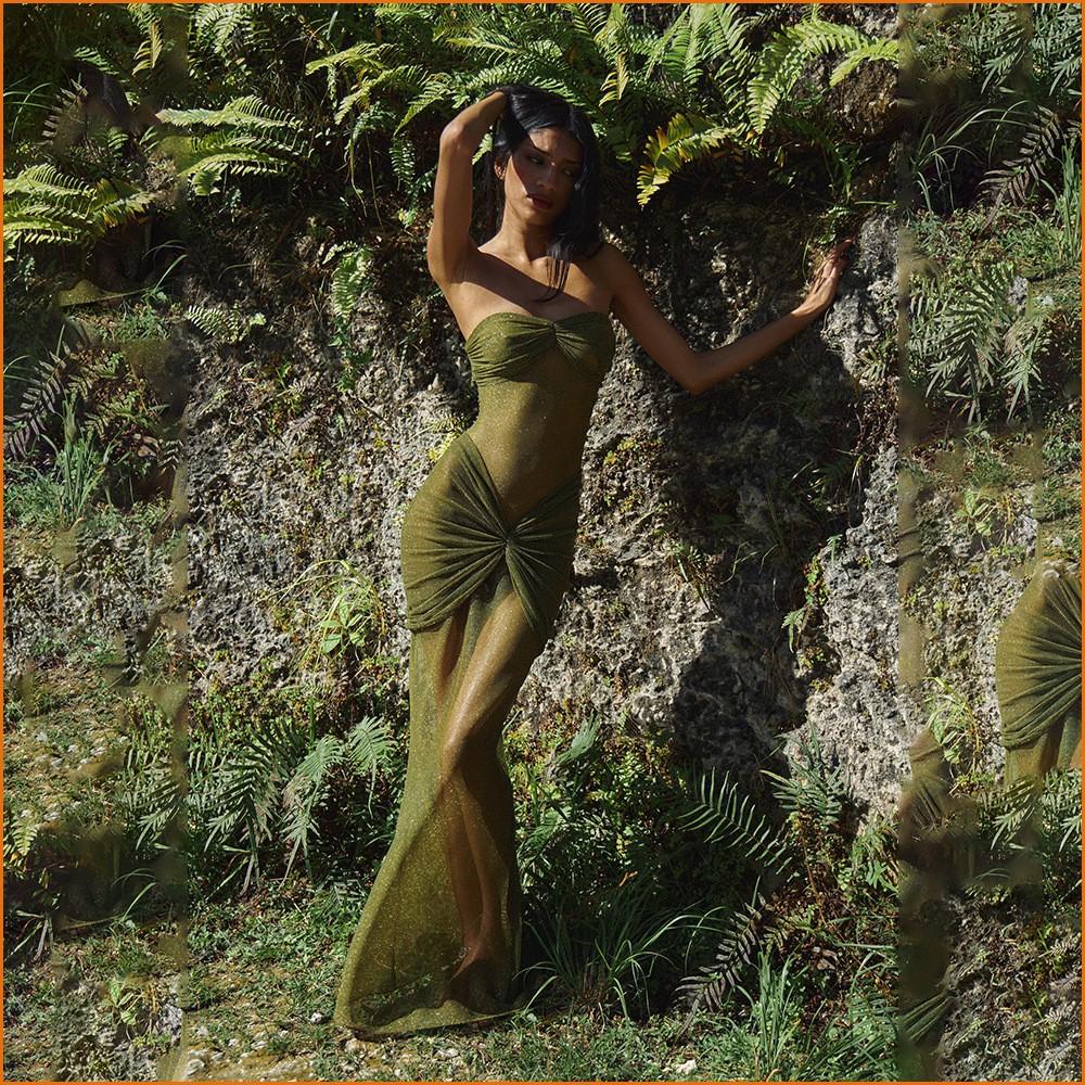 KODA & CO 04 European & American 2025 New Style Sexy & Elegant High-End Slim Fit Tube Backless Mermaid Maxi Dress