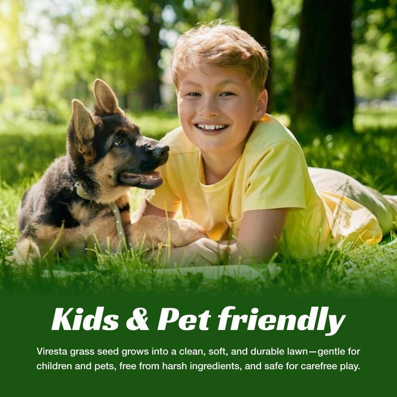 Lawn seeds, grass seeds for lawn planting, suitable for outdoor yards and landscape areas. Suitable for shady areas. plants