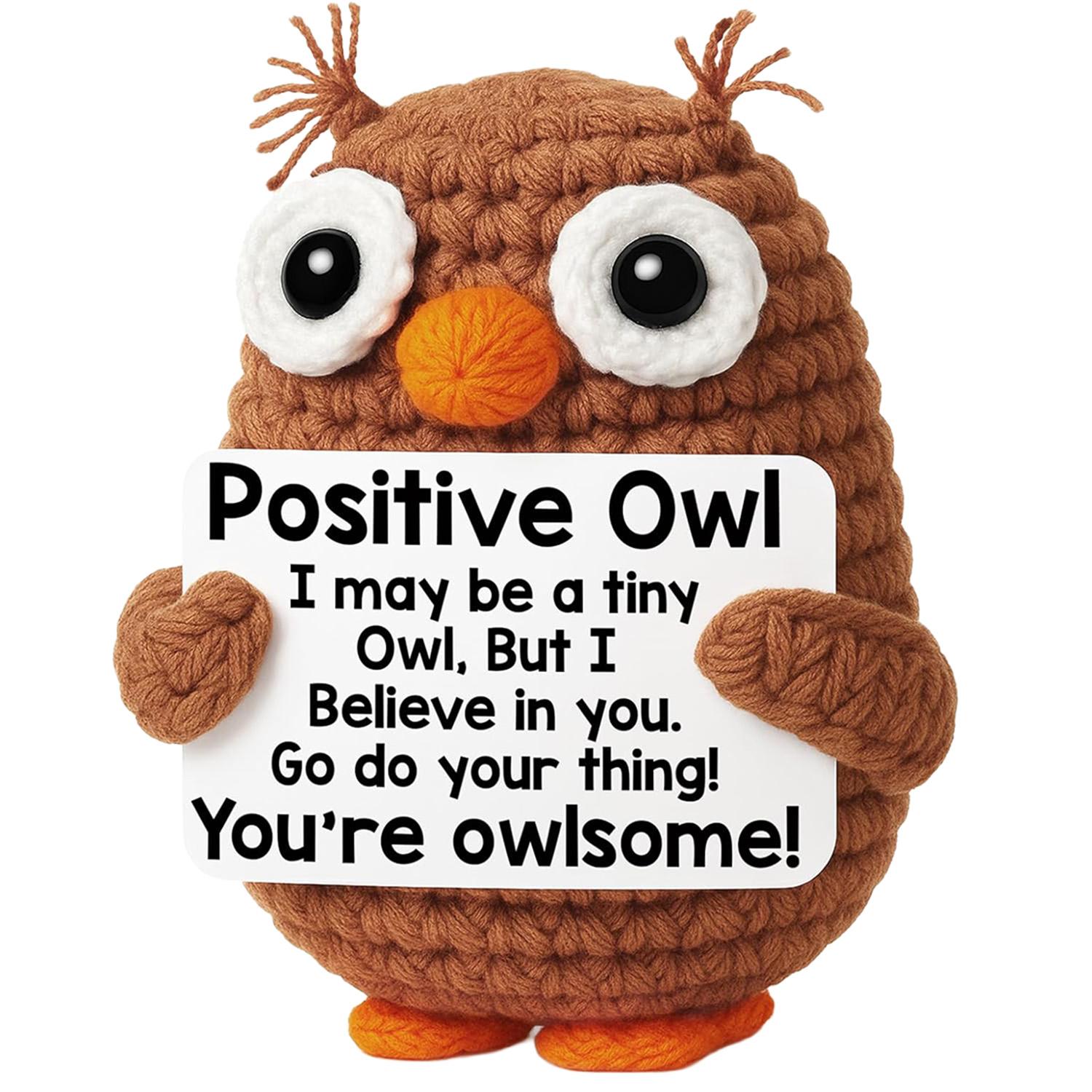 Owl Crochet Plush Easter Basket Stuffers, Emotional Inspirational Support Gifts for Teens, Daughter, Son & Friends, Perfect for Birthday, Teacher Appreciation, Mother's Day, Graduation & Holiday Presents for Mom & Coworkers