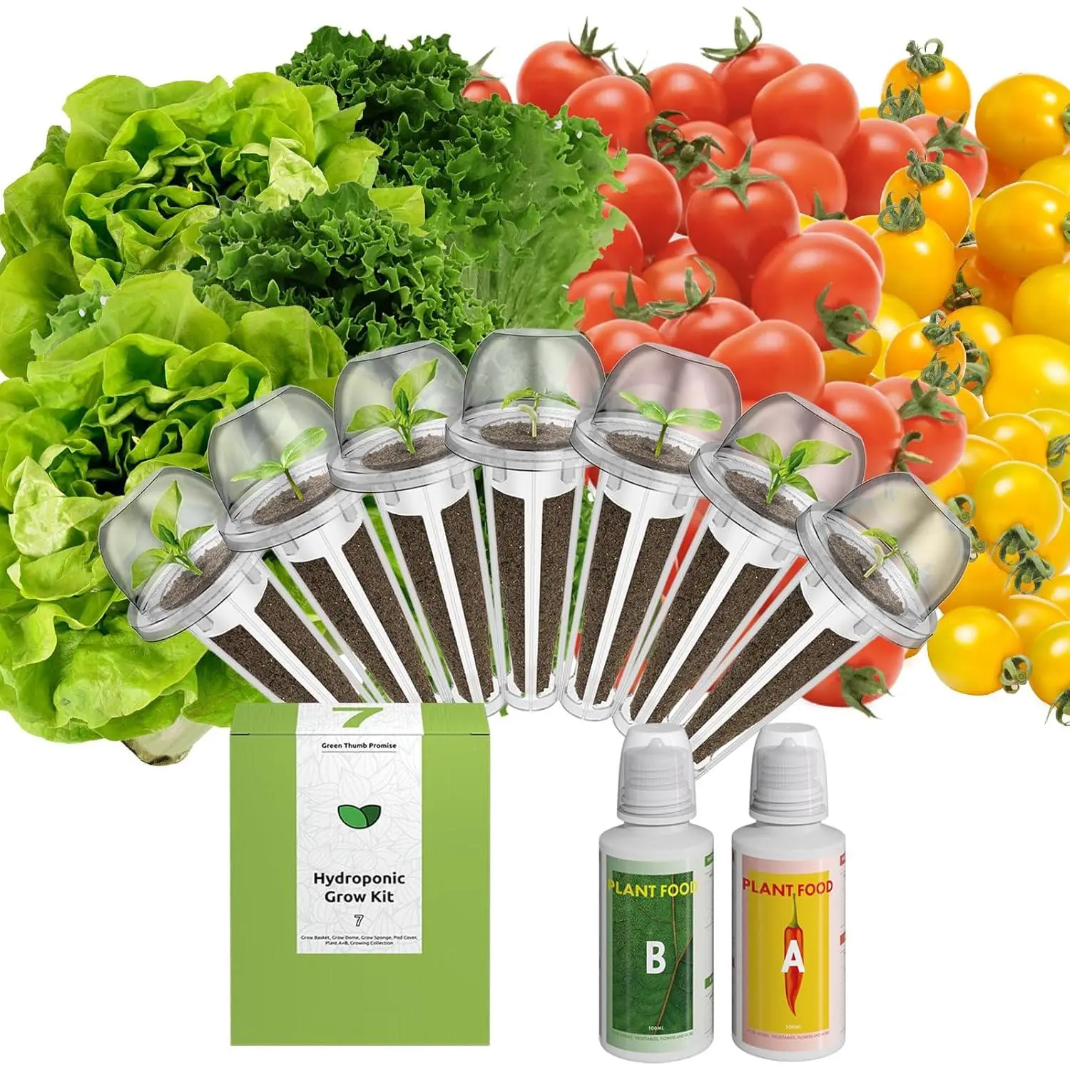 Organic Salad Green Seed Pod Kit for AeroGarden, Hydroponics Growing System, Low-Calorie Food, 7-Pods (350+ Seeds, Include Fast and Butter Lettuce, Red and Golden Cherry Tomato)