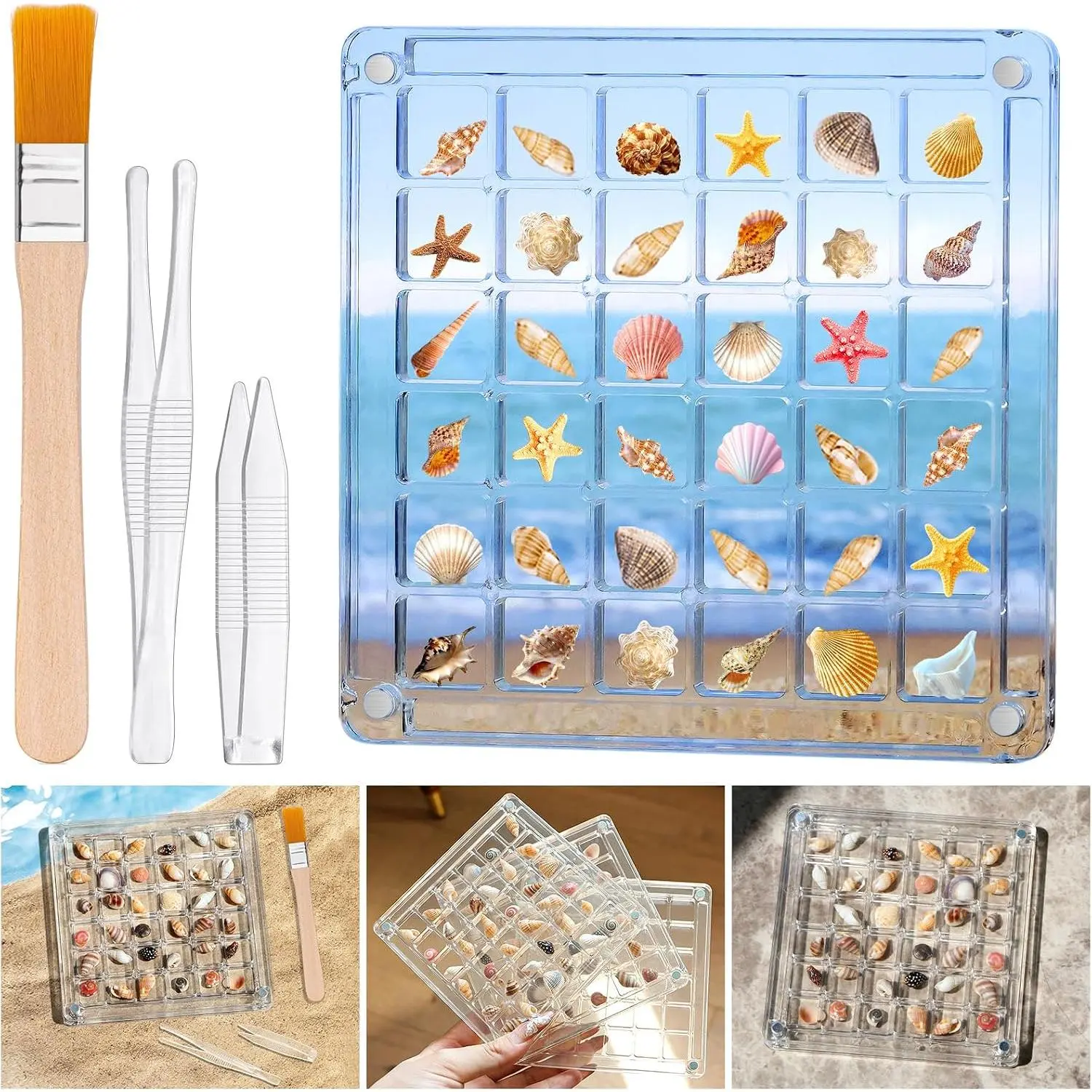 Seashell Display Box – 36 Grid Clear  Shell Holder & Organizer Case with  Lid for Sea Shell Collection,  & Mini Collectibles