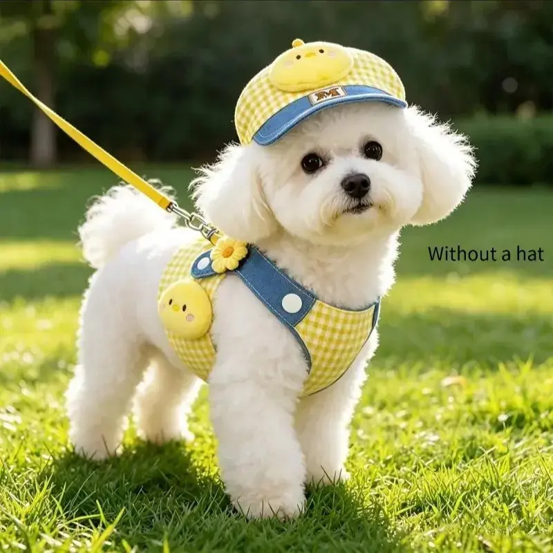 Dog leash set, with anti-pull harness, leash combination, soft and adjustable, suitable for small dogs, plaid pattern harness and leash, puppy harness, outdoor dog walking equipment