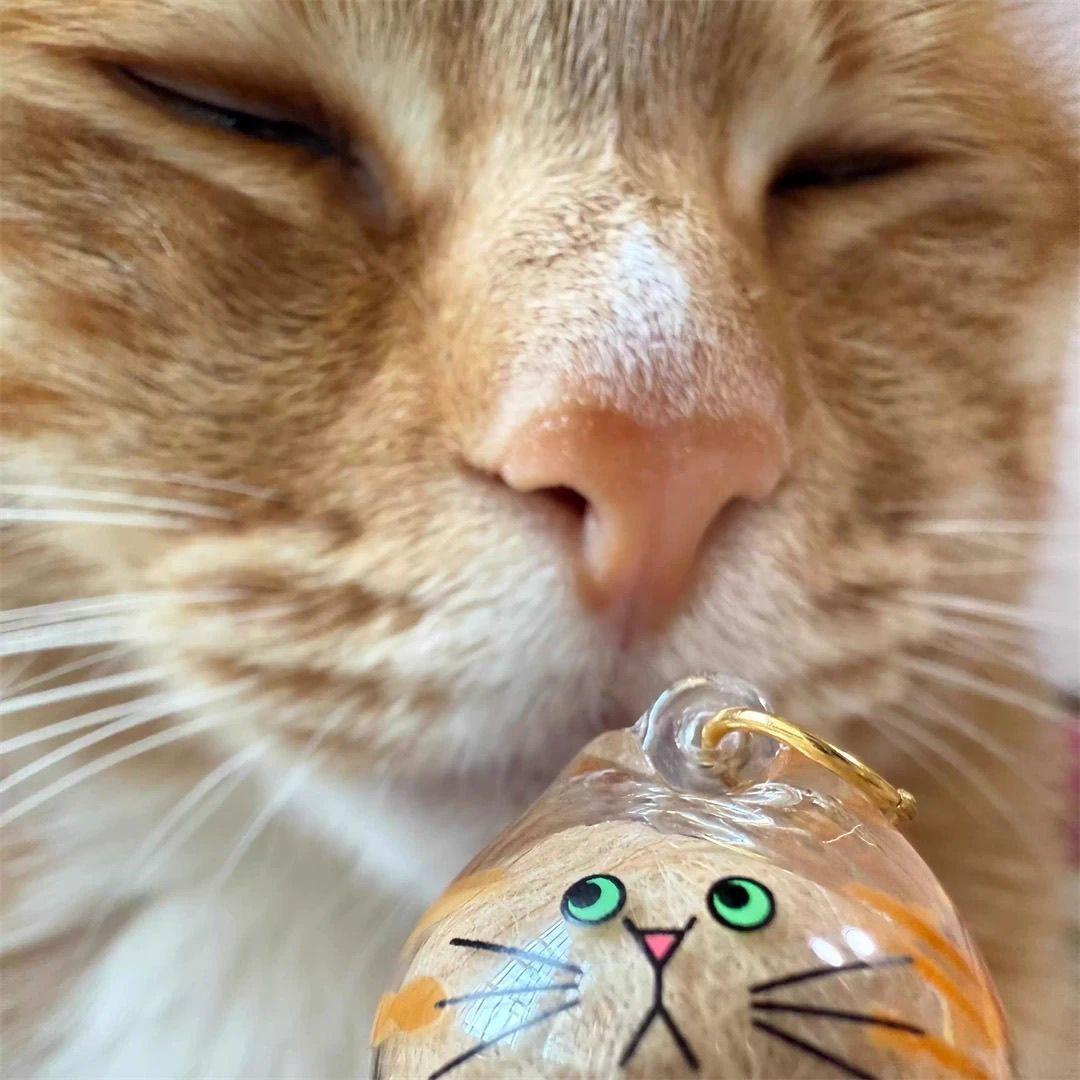 Personalized Pet Fur Keepsake Necklace Custom Memorial Locket with Real Pet Hair Paw Print Charm for Cats Dogs Pet Lovers Gift