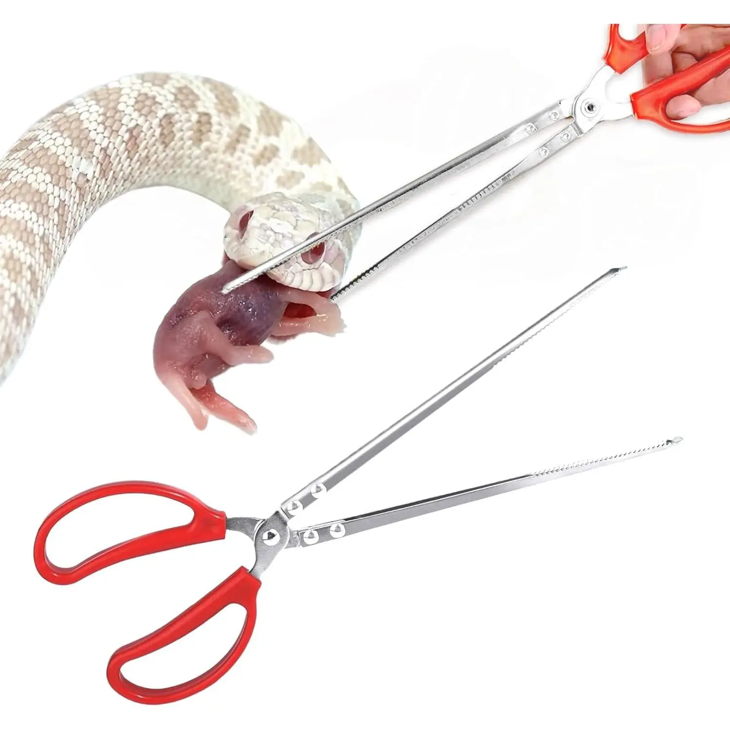 15 Inch Straight Head Snake Feeding Tongs Reptile Grabber Tool for Lizard Snakes Reptile Tank Terrarium Accessories Supplies
