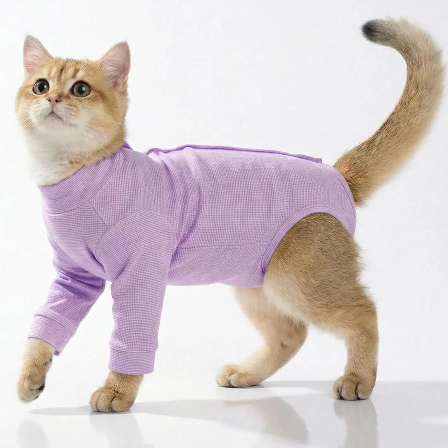 Neuter Surgery Recovery Suit for Male Cats, Anti-Licking Spay Recovery Suit for Female Cats, Long Sleeve Post Surgery Anti-Shedding Body Suit, Breathable Alternative to Cone E-Collar Cat Apparel (Purple, L)