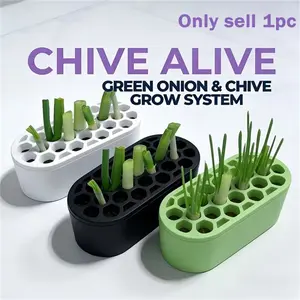 1 Scallion Sprout Propagation Kit - Easily grow scallions at home with no skills required | Compact system suitable for balconies, windowsills, and small spaces | Rapid scallion sprout propagation