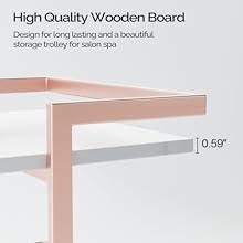 Esthetician Cart with Wheels Utility Salon Rolling Trolley, Mobile Storage Organizer for Beauty Spa Cosmetology Massage, Tattoo Manicure Facial Tool Holder Station Esthetician Cart with Wheels Utility Salon Rolling Trolley, Mobile Storage Organizer for Beauty Spa Cosmetology Massage, Tattoo Manicure Facial Tool Holder Station