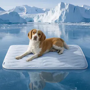 Summer Pet Cooling Mat, Ice Pad Gel Bed for Dogs and Cats, Heat Insulation & Temperature Regulation Sleeping Cushion dog products，dog accessories，puppy essentials，cool cat stuff，dog accessories for large dogs，girl dog kennel，portable pet house