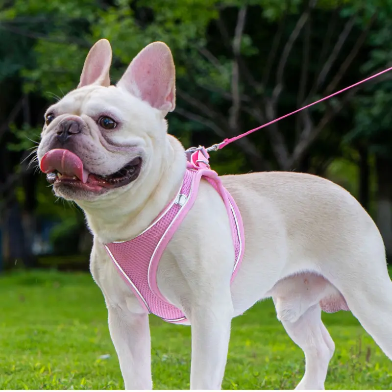Reflective Vest Pet Harness and Leash Set No Pull Adjustable Walking Harness for Small Medium Dogs Cats Night Safety Outdoor Walking Gear，dog products，dog accessories，nia chic collar，halti pull harness，gentle leader for dogs，gentle leader，flexi leash