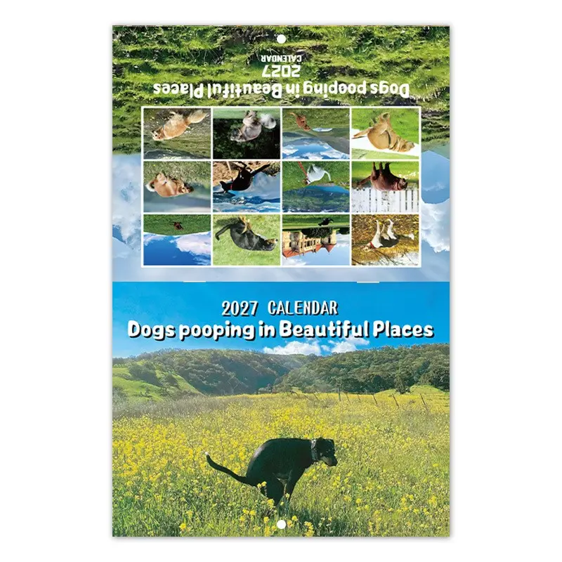 2027 Dog Poop Calendar, Creative Dog Waste Tracker, Fun and Practical Pet Owner Gift, Unique Daily Logging Tool for Dog Lovers