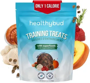 Mini Beef Training Treats for Dogs - 1-Calorie Bites With Reishi, Lion’s Mane & Salmon Oil