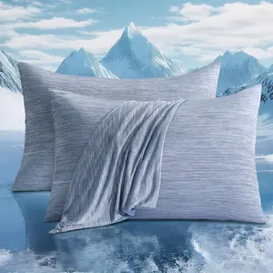 2 Pack Cooling Pillow Cases Queen Size, Arc-Chill Q-Max > 0.5 for Hot Sleepers, Hair & Skin Friendly, Double-Sided, Machine Washable, Hidden Zipper, Gift for Women Men, 20x30, Blue