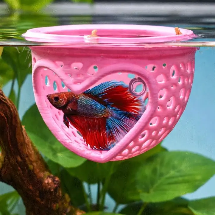 Heart  Floating Betta Tunnel with  Suction Cup, Floating Betta Enrichment Toys, Aquarium Betta Hammock, Promote Excercise &  , Betta Fish  Decor Accessories