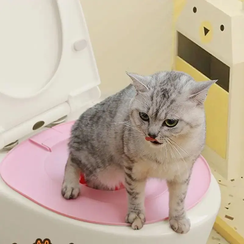Best Plastic Cat Training Kit Reusable Puppy Cat Litter Mat Cat Toilet Trainer Toilet Pets Cleaning Cats Training Product