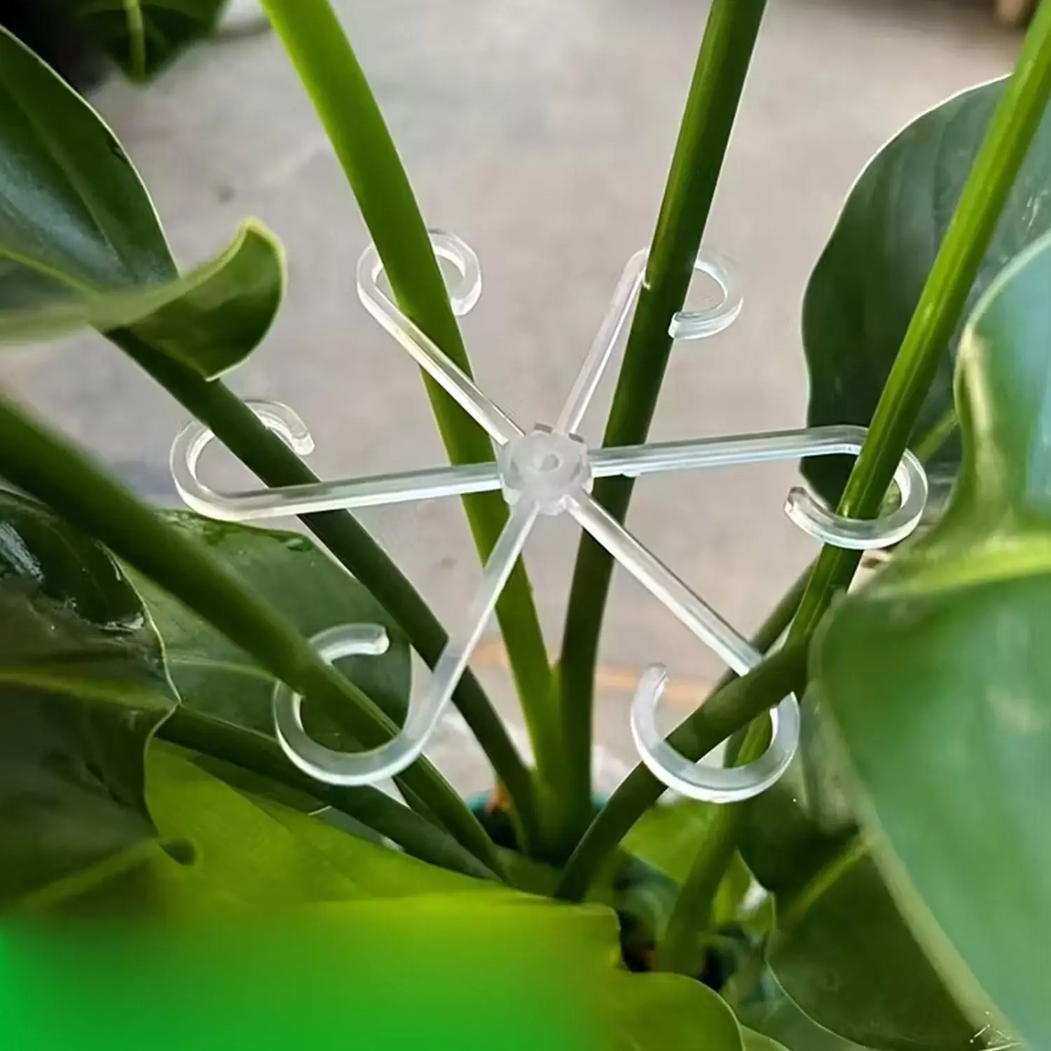New model plant stem support with 8 pieces fixed clips, flower stem retraction frame, Garden plant supplies, suitable for indoor and outdoor gardening, anti-toppling support frame