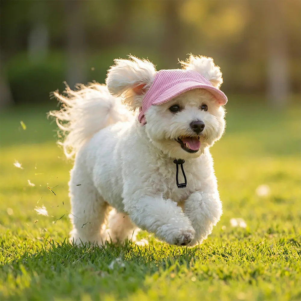 Cute Corduroy Pet Headwear, Outdoor Sun Shade Baseball Cap, Adjustable Hat for Dog Cat Daily Use
