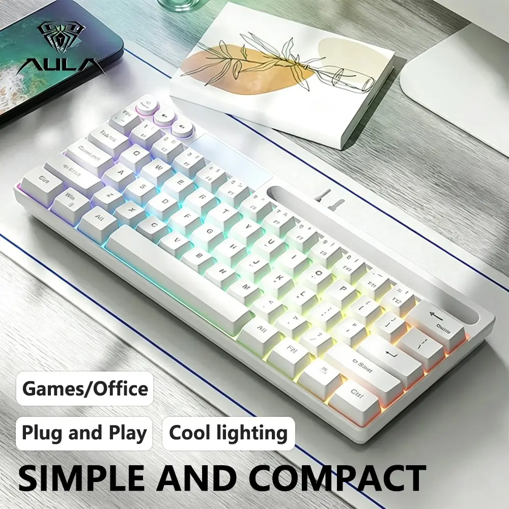 Aula F3061 Mini Wired Office Keyboard, Plug and Play, 61 Keys, Cool Lighting, Lighted Keyboard, Portable Lightweight, Suitable for Desktop and Laptop, Membrane Keyboard
