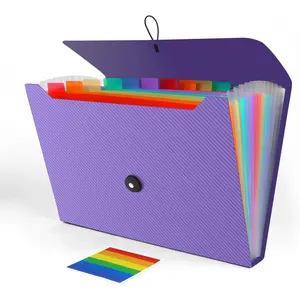 Accordion File Organizer, Expanding File Folder for Sorting Documents and Papers, 13 Pockets File Storage Organizer for Home, Travel and Office Use (Purple)