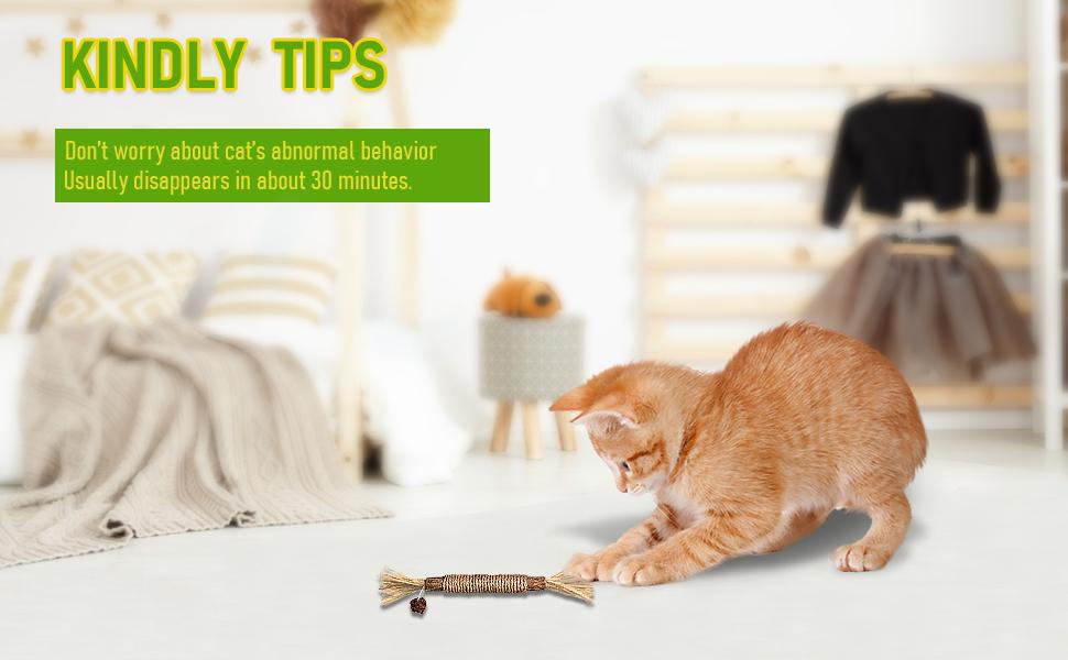 6 pcs Catnip Toys| Silvervine for Cats: Cute Cat & Kitten Toys for Indoor Cats Interactive| Cat & Kitten Teething Chew Toys for Aggressive Chewers| Silvervine Sticks Cat Dental Toy (3PCS)
