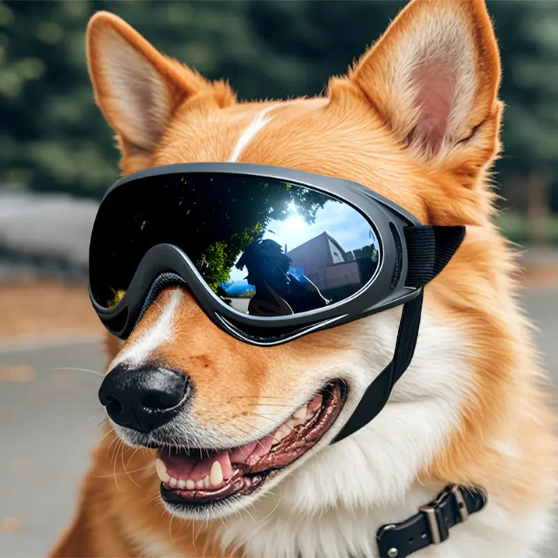 Windproof Dog Goggles for Medium & Large Breeds, UV‑Protection Pet Sunglasses, Adjustable Outdoor Pet Eye Wear, Protective Dog Accessory for Hiking, Car Rides, Beach Trips & Windy Outside Activities