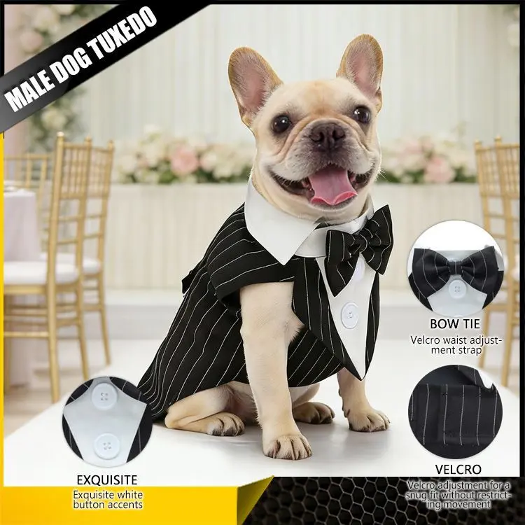's best-selling pet suit for weddings, holidays, and celebrations, British-style black tailcoat, lightweight dog clothing
