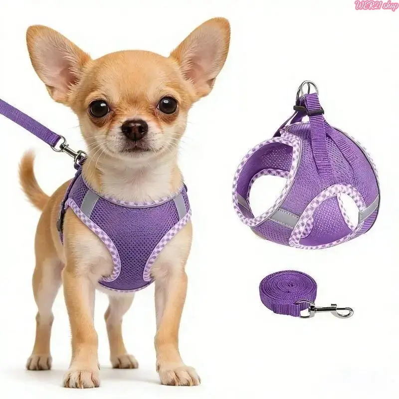 2Pcs No Pull Step-In Dog Harness & Leash Set, Trending Reflective Soft Breathable Mesh Puppy Vest, Adjustable Lightweight Escape Proof Walking Gear Fits Small Medium Large Dogs, Ideal for Daily Outdoor Walks, Night Stroll & Pet Training