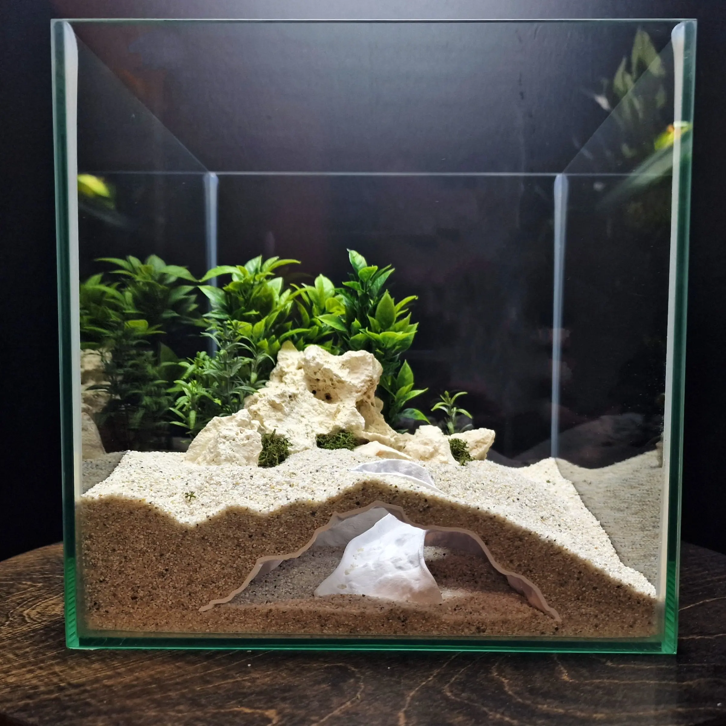 Aquarium Fish and Shrimp Cave with Slope Tunnel, Creative Design for Crawling and Amphibious Animals, Rock Exterior Hideout