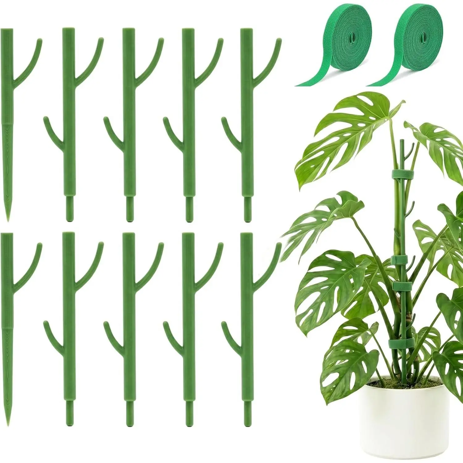 Heavy-Duty Monstera Plant Support Stakes - 10-Piece Stackable Sticks | For Climbing Stem up to 39.6" Tall - 0.55" Thick Indoor Plant Poles & Outdoor Garden Structures