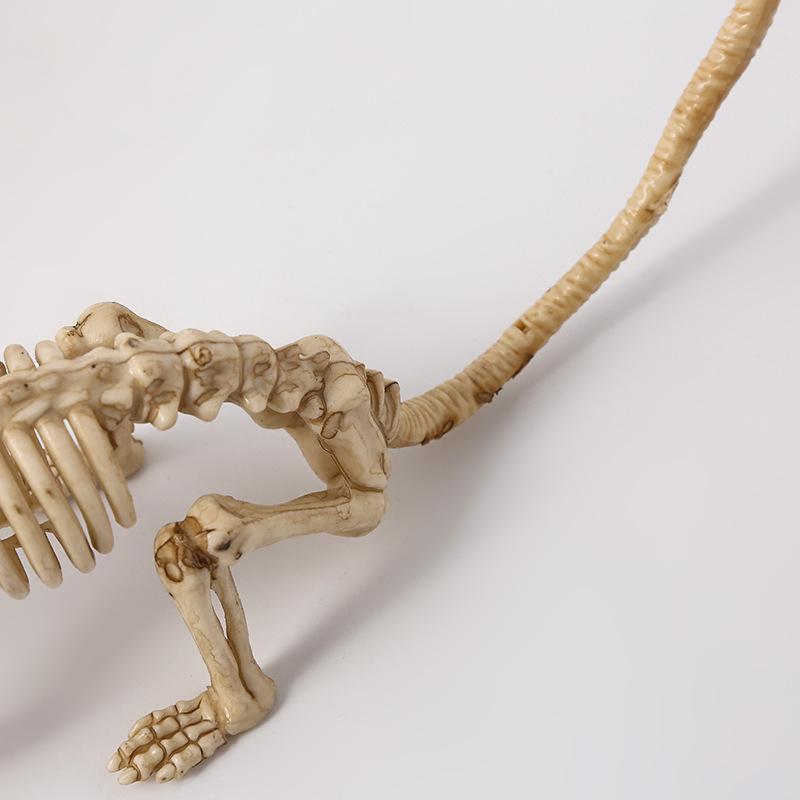Simulated mouse animal skeleton decoration ornament
