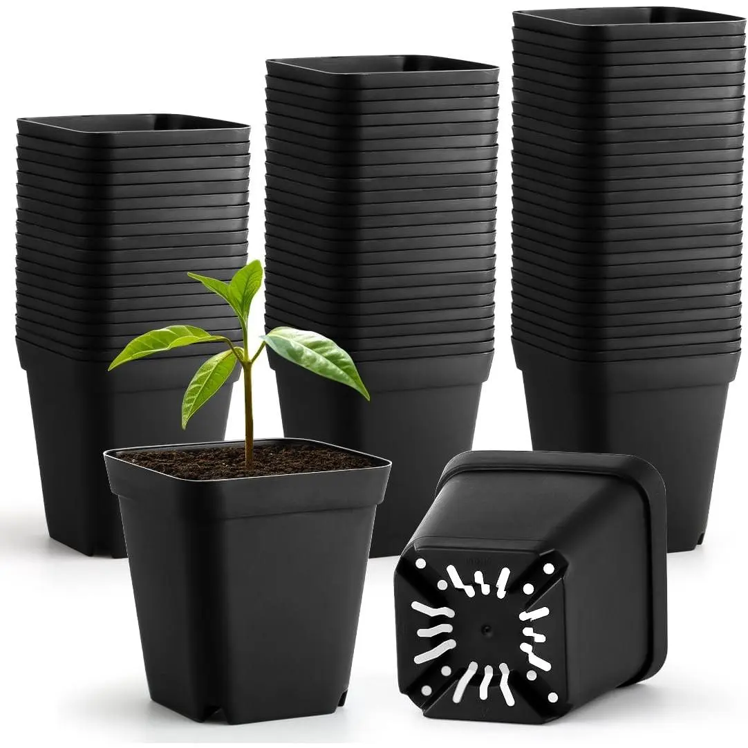 60 count  Pots 2.7 Inch, Plastic Seed Starting Pot with Drainage Holes, Sturdy Seedling pots for Planting, Cuttings (Black)