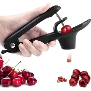 Push-type Cherry Cherry Nucleator, Jujube Nucleator, Stainless Steel Nucleator Tool