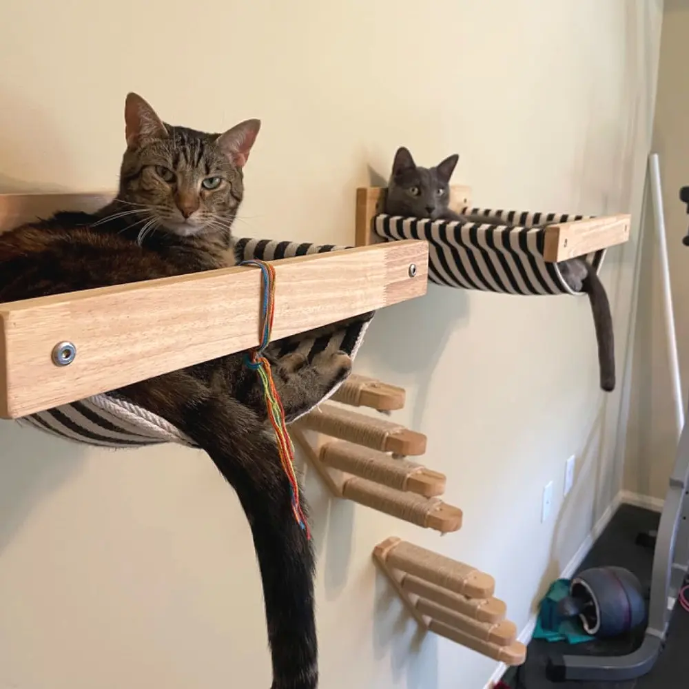 Wall-Mounted Wood Cat Hammock + Jute Ladder, Space-Saving Indoor Home Play Area, Ideal for Kittens and Adult Cats, Climbing and Scratching Fun