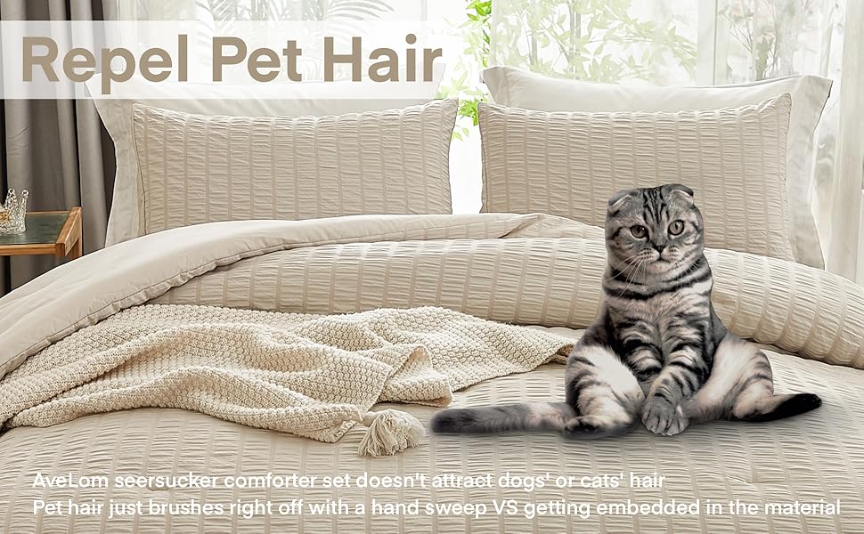 Beige Seersucker Queen Comforter Set (90x90 inches), 3 Pieces-100% Soft Washed Microfiber Lightweight Comforter with 2 Pillowcases, All Season Down Alternative Comforter Set for Bedding