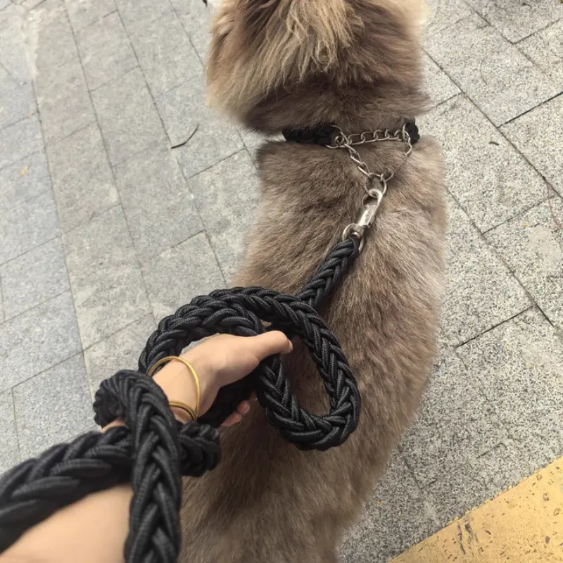 Pet traction rope with 4.2 ft leash medium and large dog rope thickened to strengthen traction giant dog walking dog rope pet supplies manufacturer issued break away collar